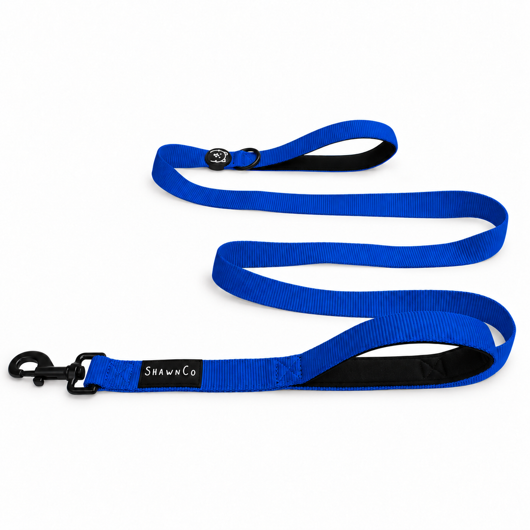 ShawnCo Dream Walk Dog Leash