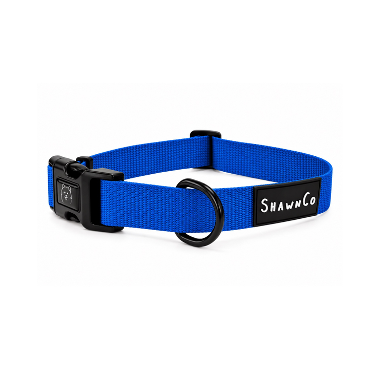 ShawnCo Dream Walk Dog Collar