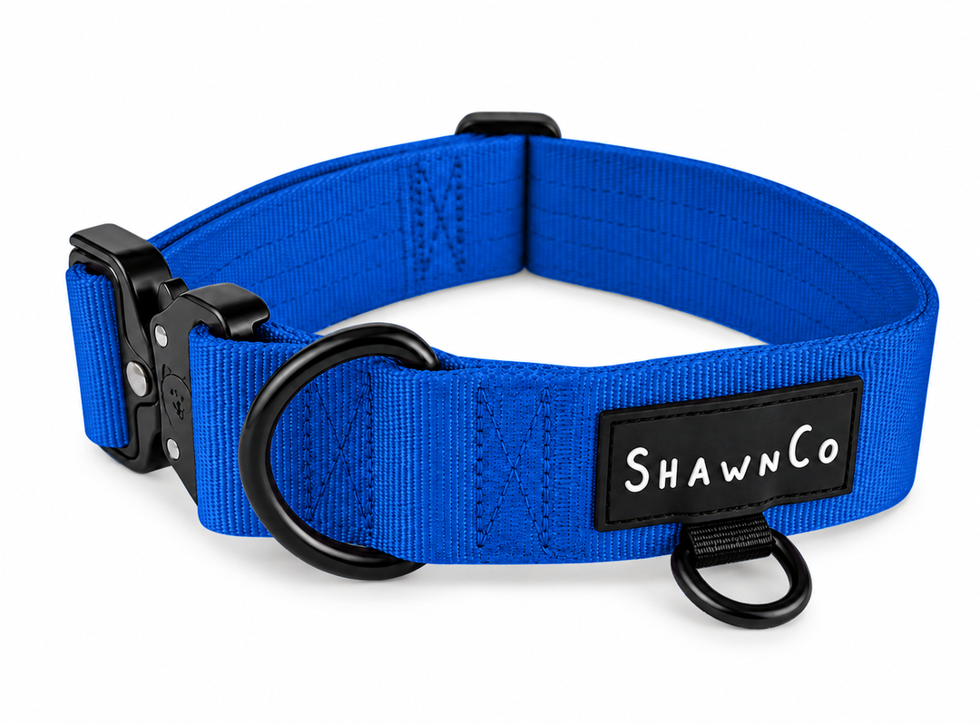 ShawnCo Basecamp Dog Collar