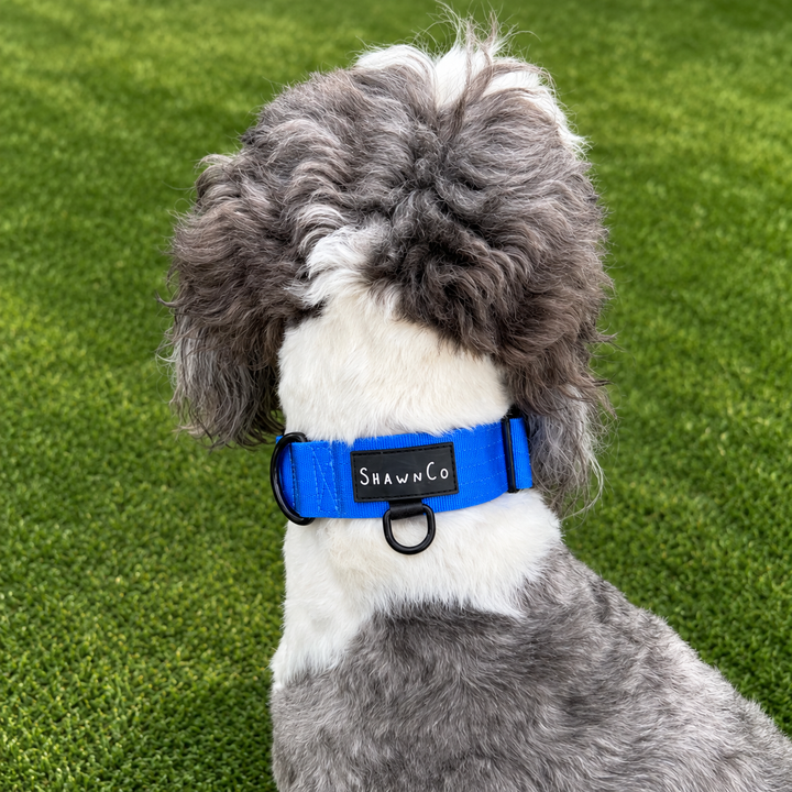 ShawnCo Basecamp Dog Collar
