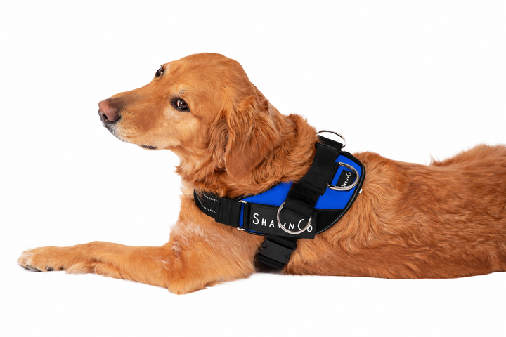 ShawnCo Essential Pro Dog Harness