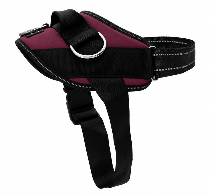ShawnCo Essential Dog Harness