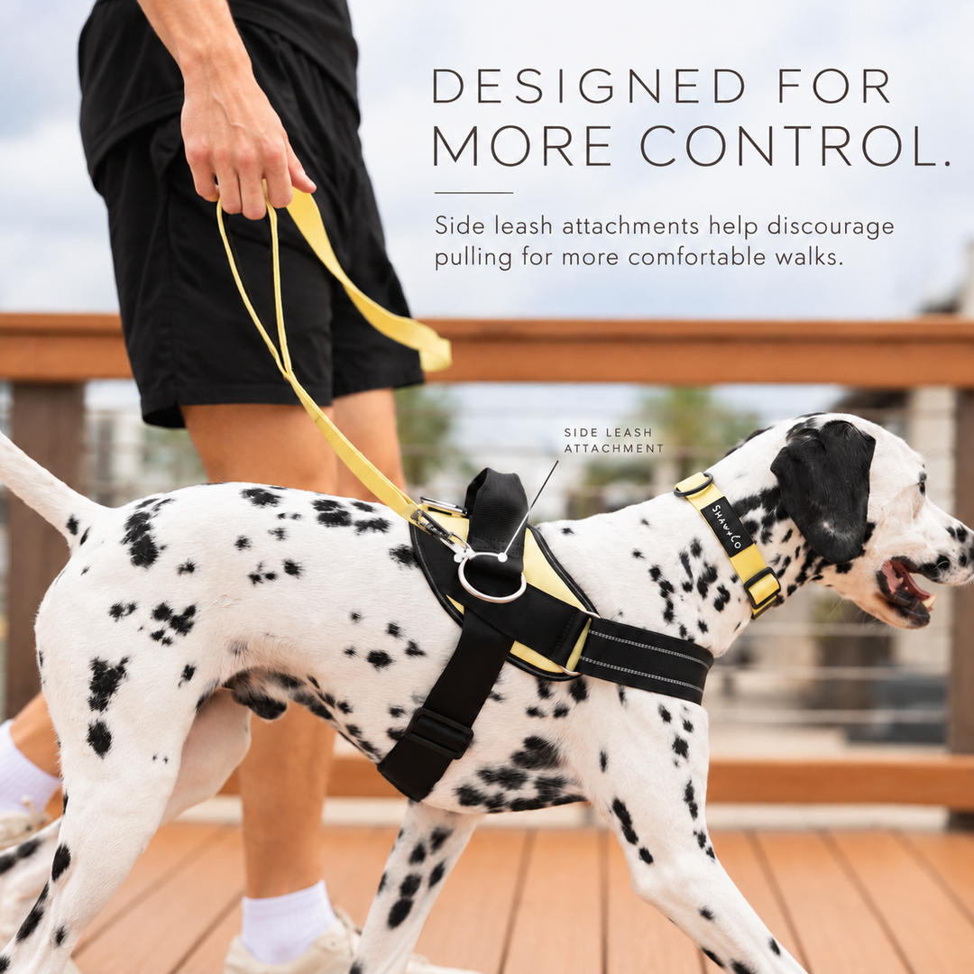 ShawnCo Essential Dog Harness