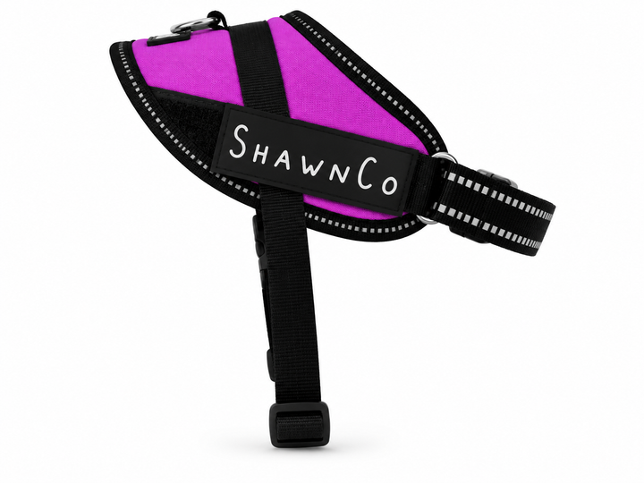 ShawnCo Essential Pro Dog Harness