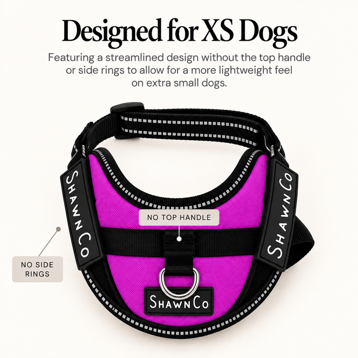 ShawnCo Essential Pro Dog Harness