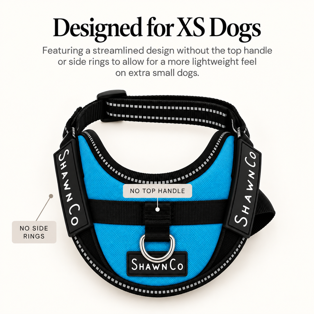 ShawnCo Essential Pro Dog Harness