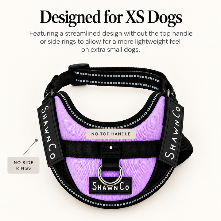ShawnCo Essential Pro Dog Harness