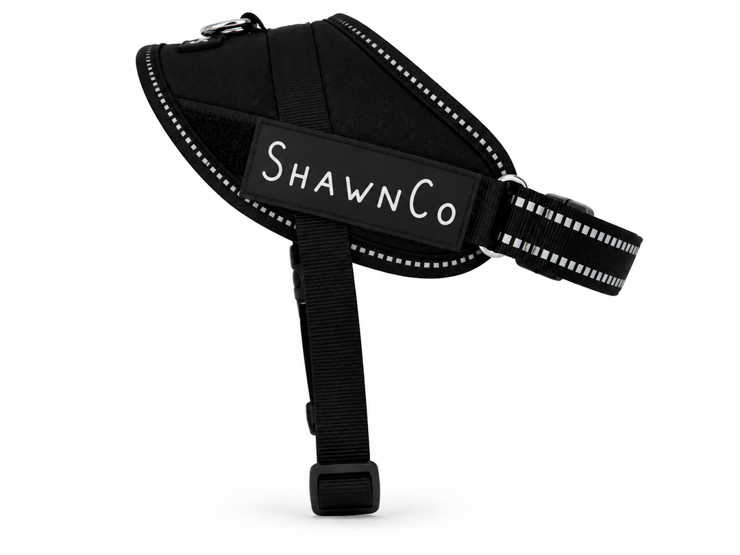 ShawnCo Essential Pro Dog Harness