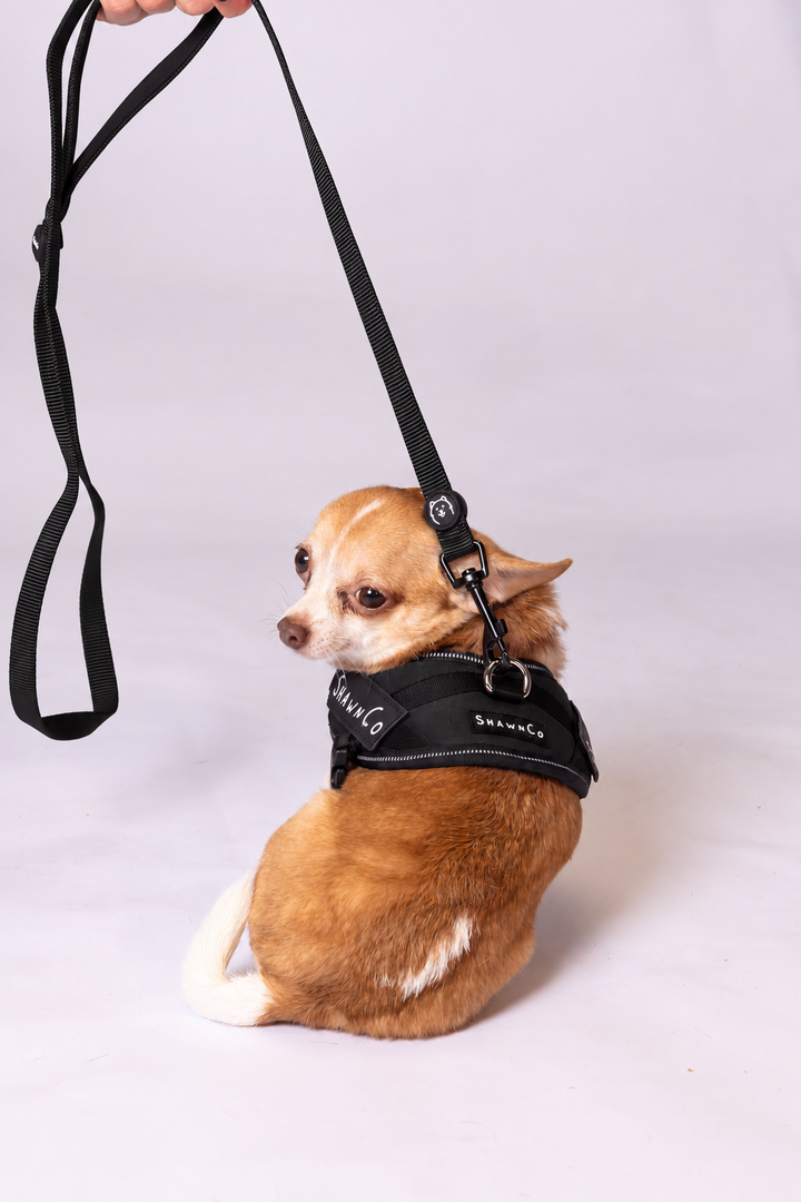 ShawnCo Essential Pro Dog Harness