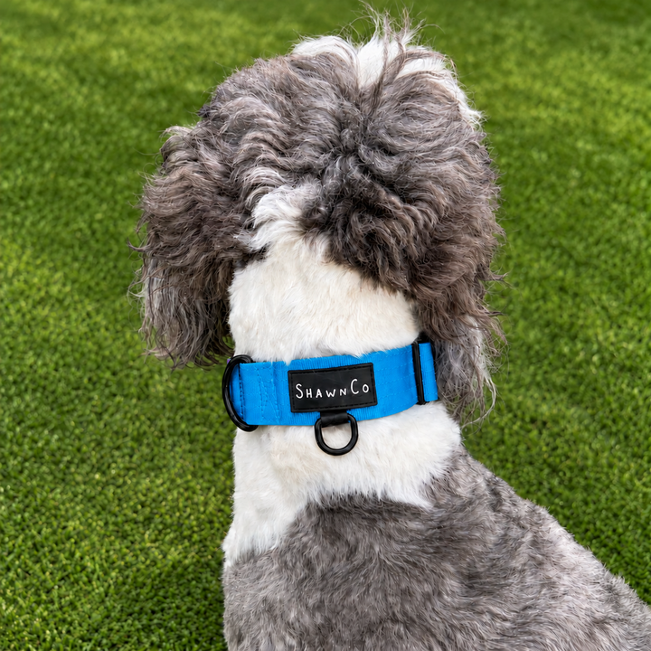 ShawnCo Basecamp Dog Collar