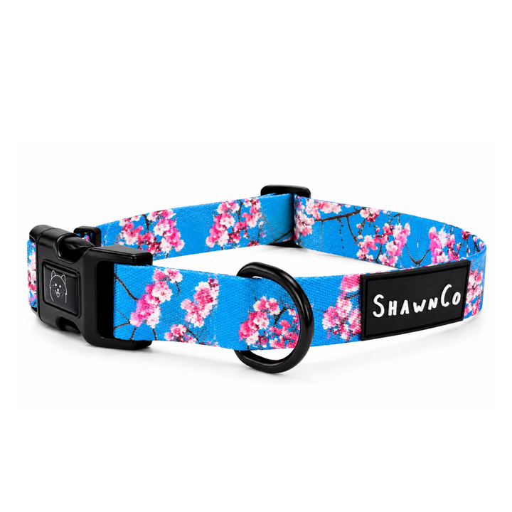 ShawnCo Dream Walk Dog Collar