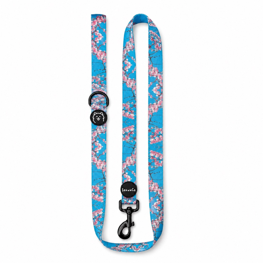 ShawnCo Dream Walk Dog Leash