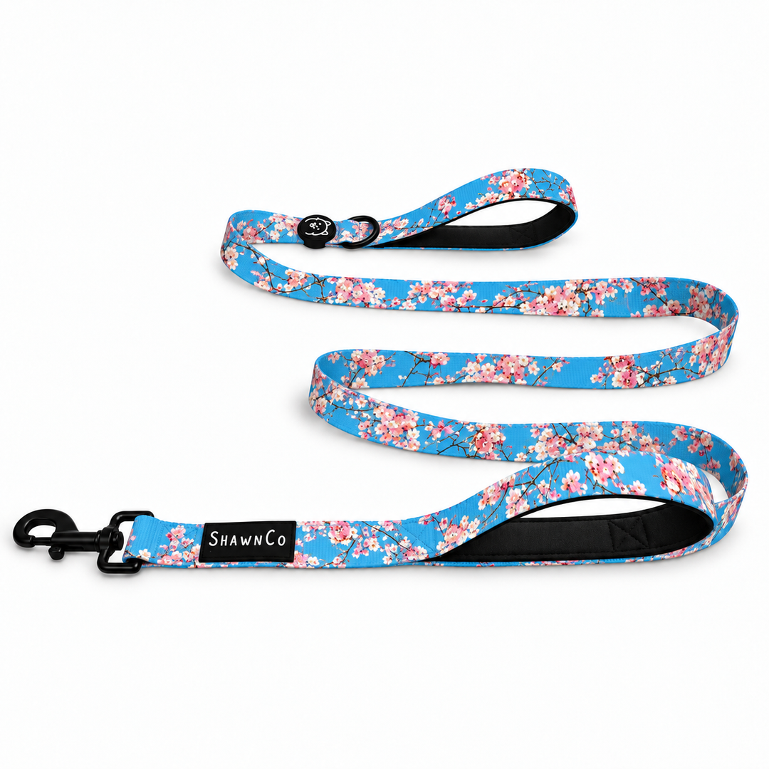 ShawnCo Dream Walk Dog Leash