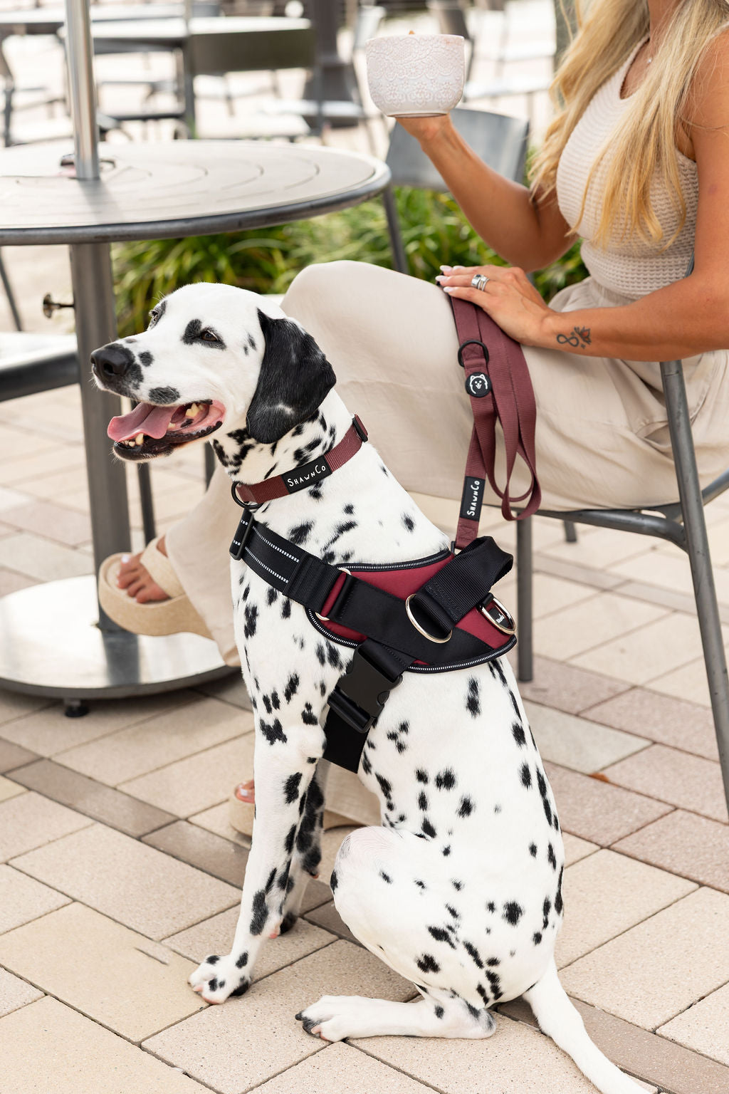 ShawnCo Essential Dog Harness