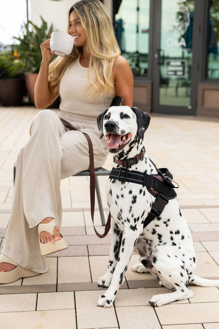 ShawnCo Essential Dog Harness