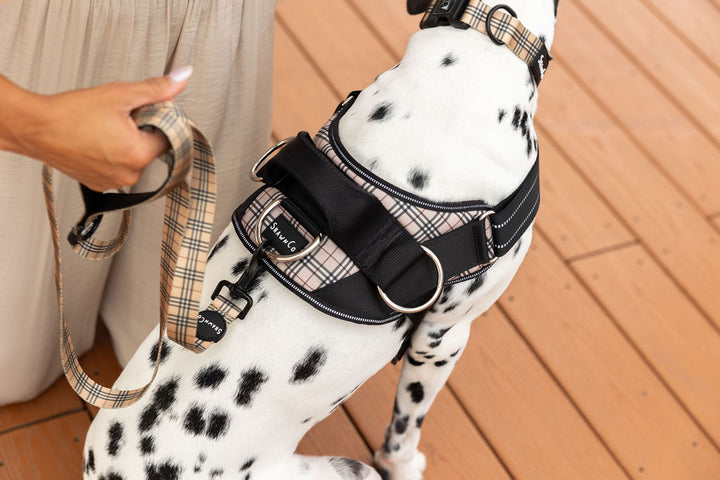 ShawnCo Dream Walk Dog Leash