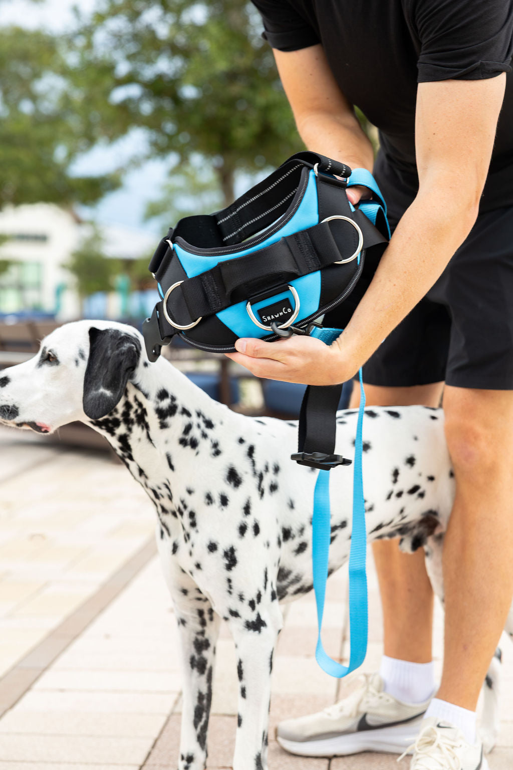 ShawnCo Essential Dog Harness