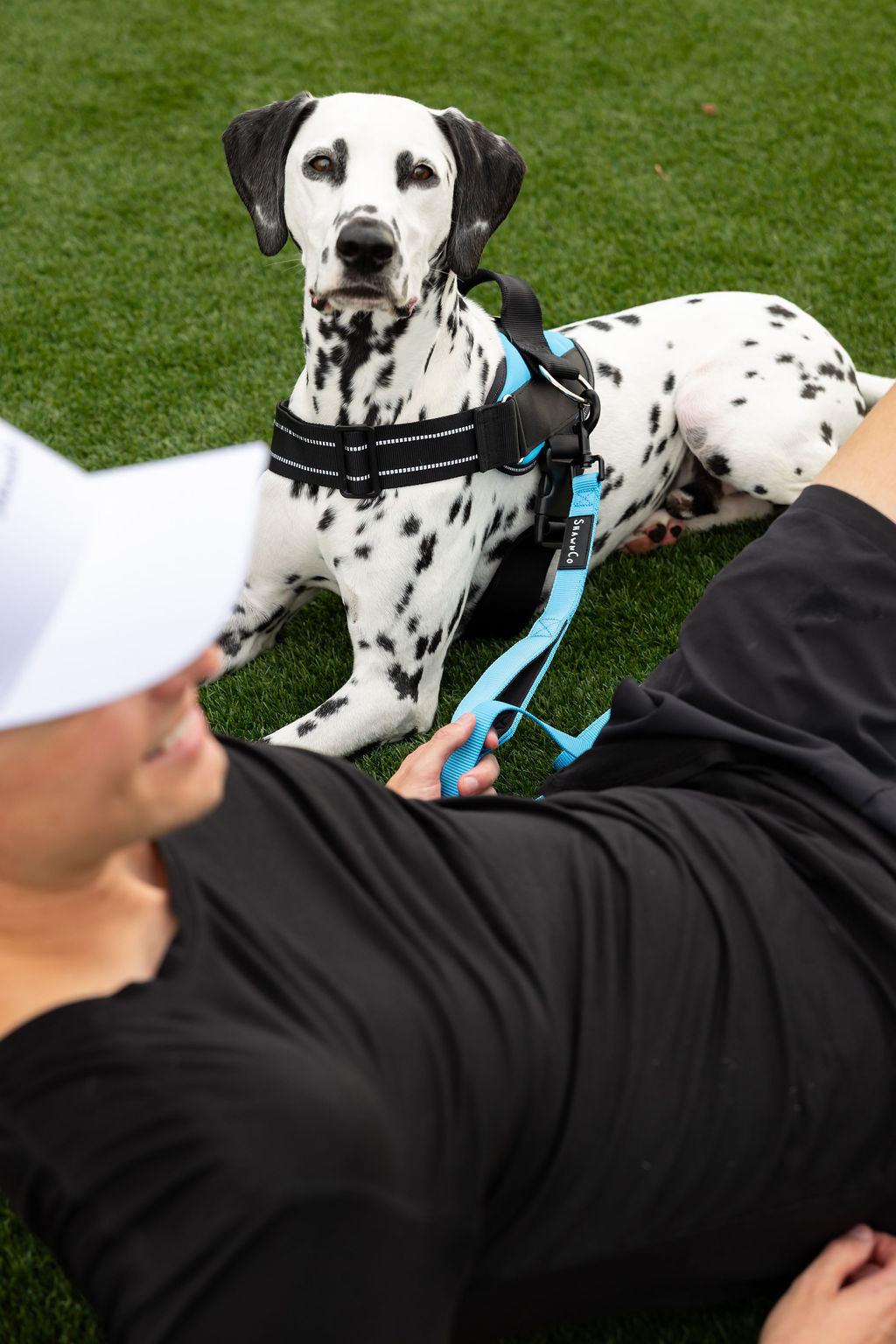 ShawnCo Essential Dog Harness