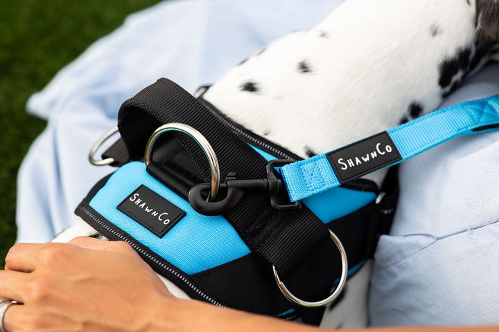 ShawnCo Dream Walk Dog Leash