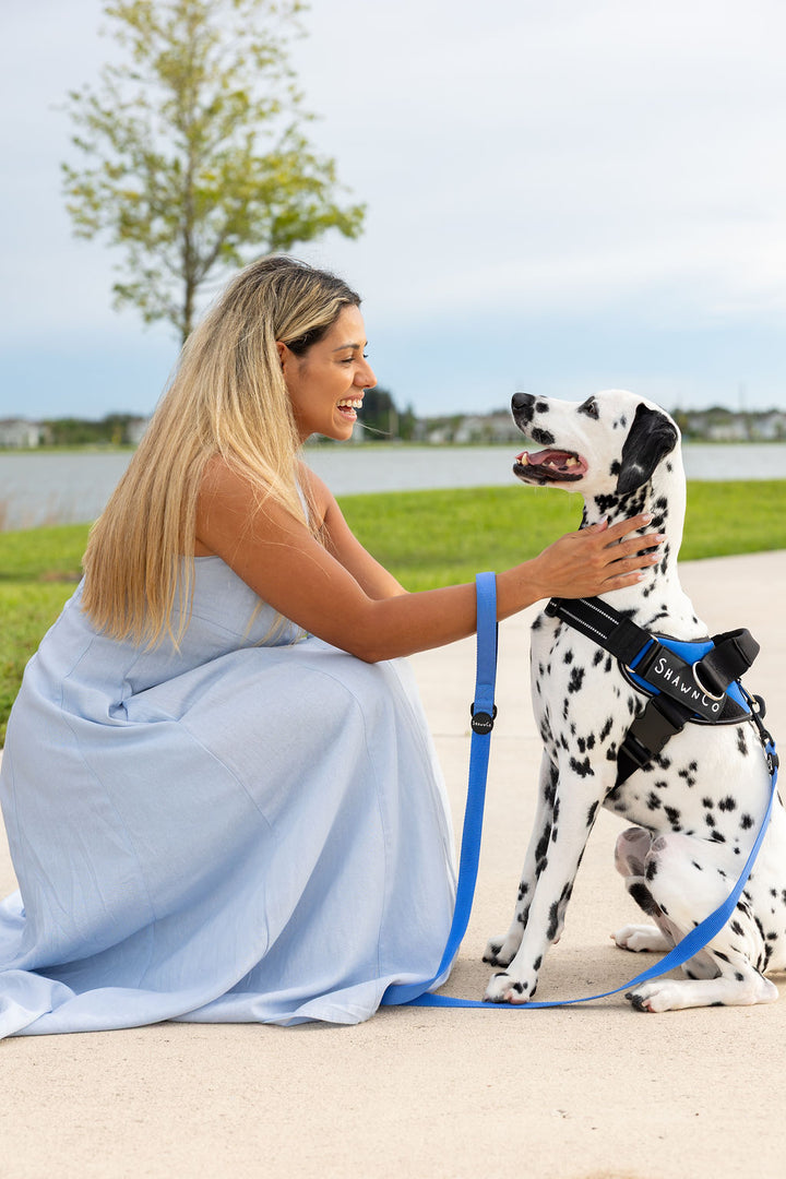 ShawnCo Dream Walk Dog Leash