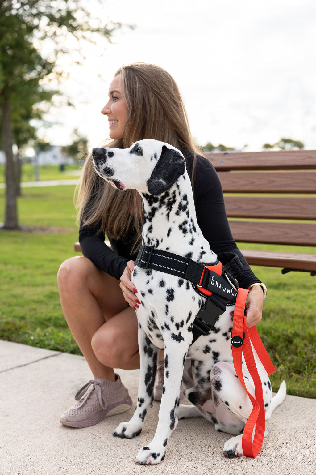 ShawnCo Dream Walk Dog Leash