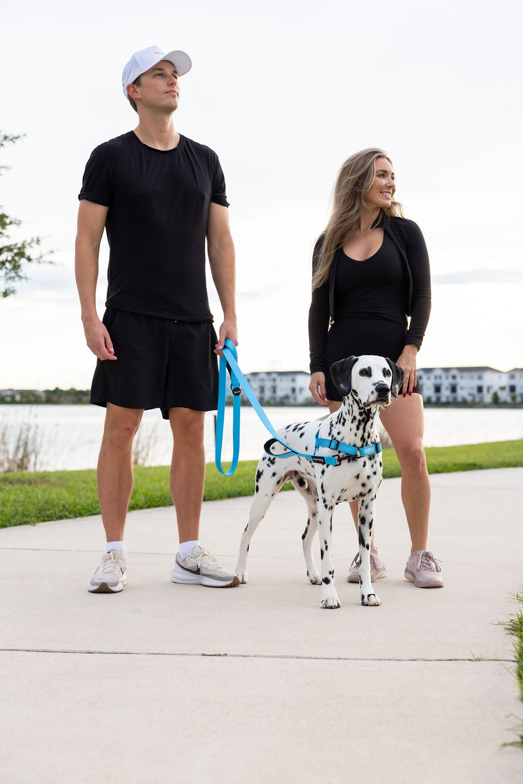 ShawnCo Dream Walk Dog Leash