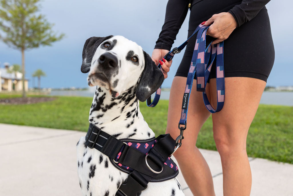 ShawnCo Dream Walk Dog Leash