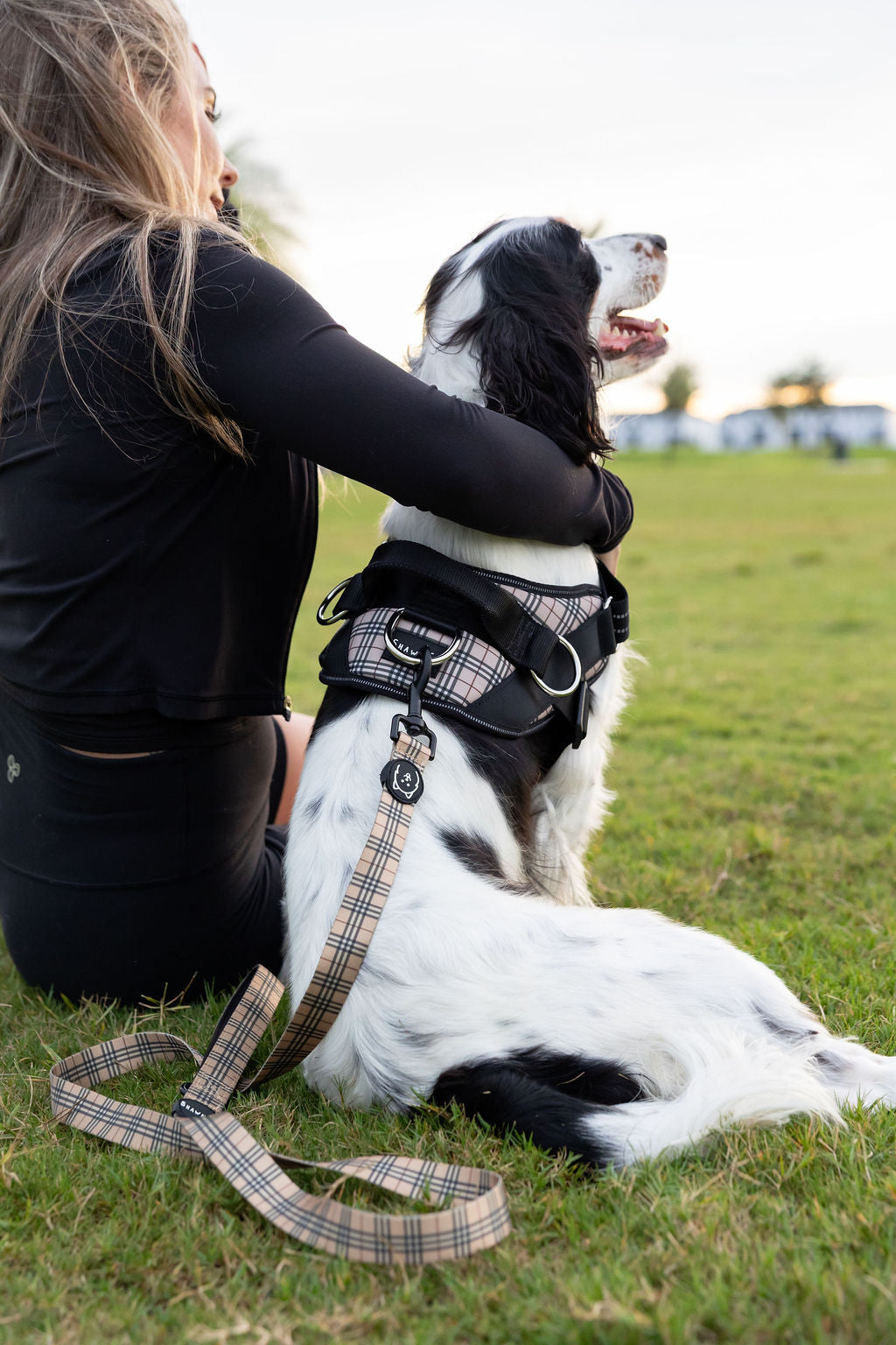 ShawnCo Essential Dog Harness