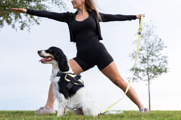 ShawnCo Essential Dog Harness