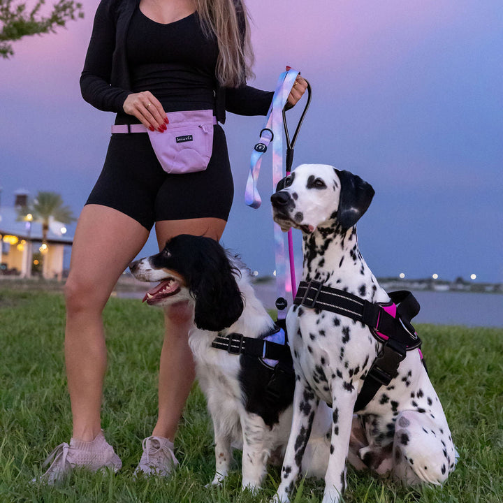 ShawnCo Essential Dog Harness