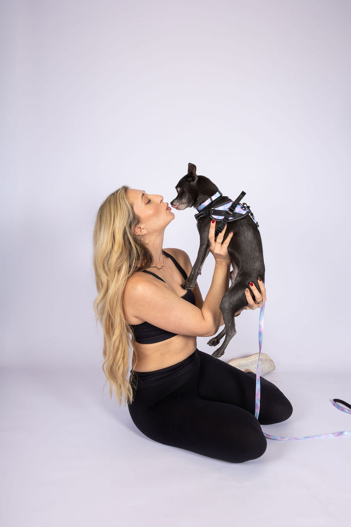 ShawnCo Essential Dog Harness