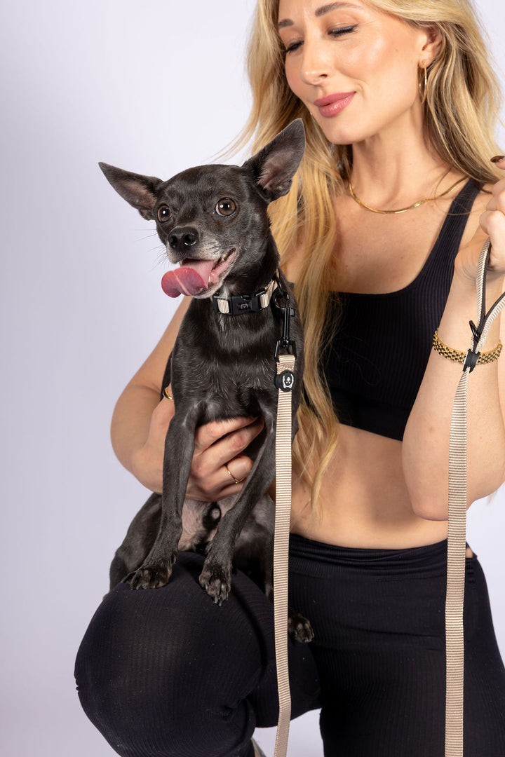 ShawnCo Dream Walk Dog Leash