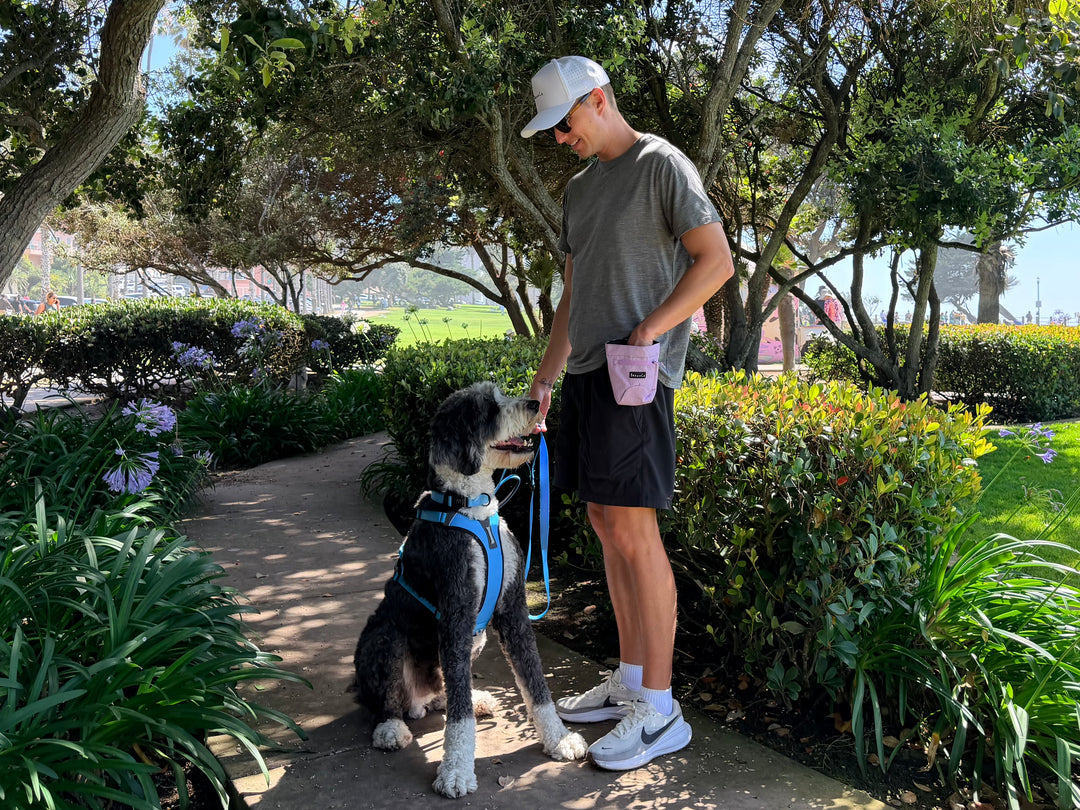 ShawnCo Essential Treat Bag