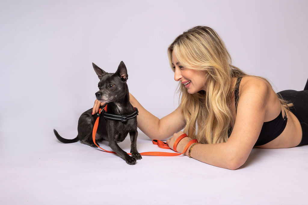 ShawnCo Dream Walk Dog Leash