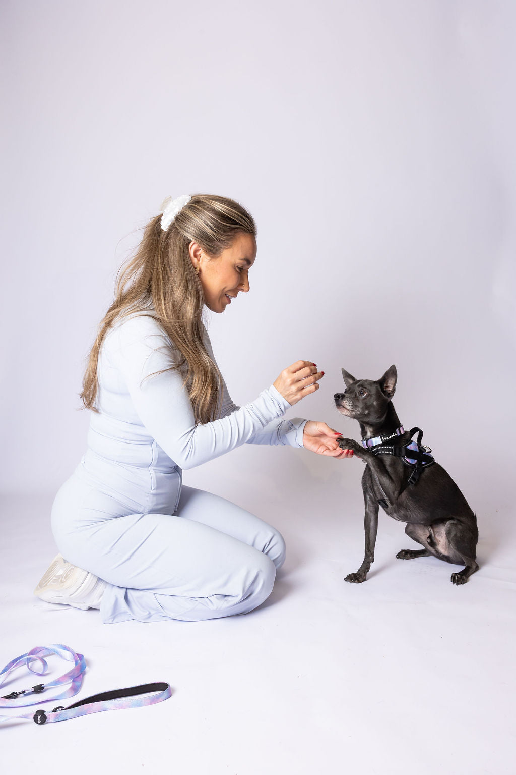 ShawnCo Dream Walk Dog Leash