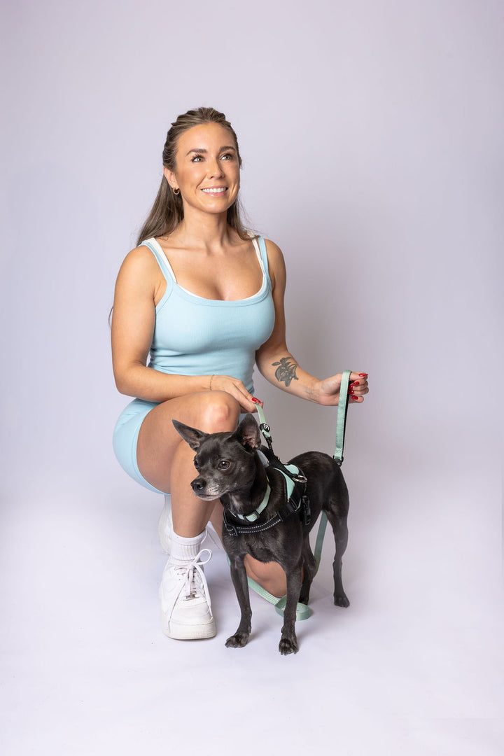 ShawnCo Essential Dog Harness