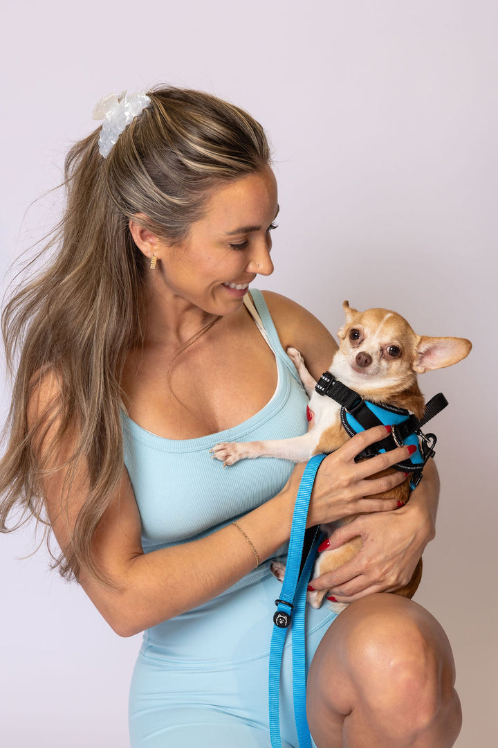 ShawnCo Dream Walk Dog Leash