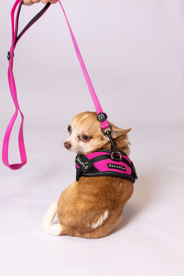 ShawnCo Dream Walk Dog Leash