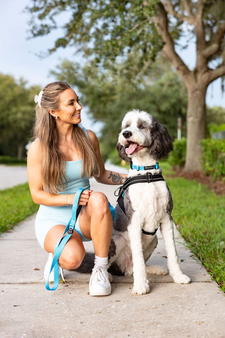 ShawnCo Dream Walk Dog Leash