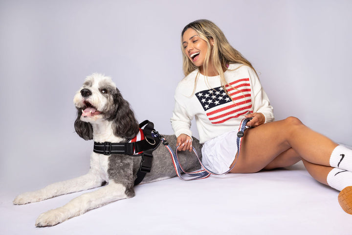 ShawnCo Essential Dog Harness
