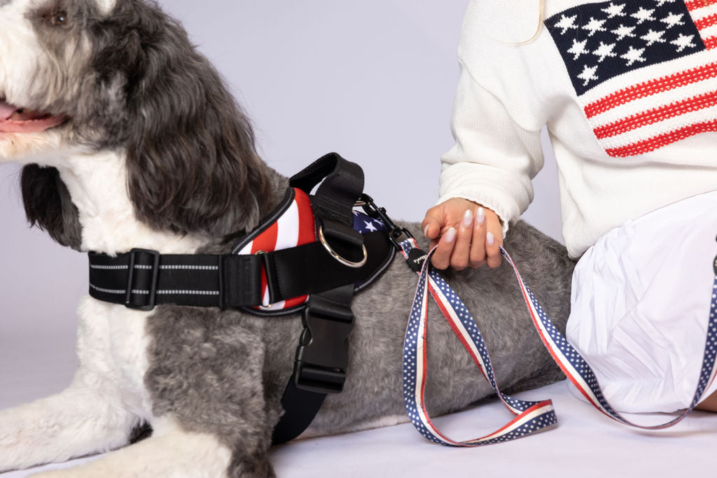 ShawnCo Dream Walk Dog Leash