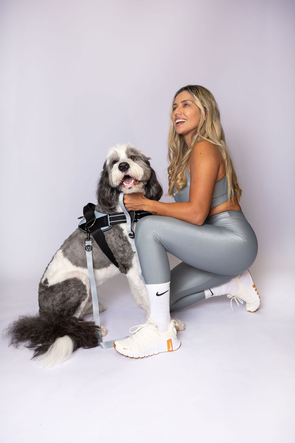 ShawnCo Dream Walk Dog Leash