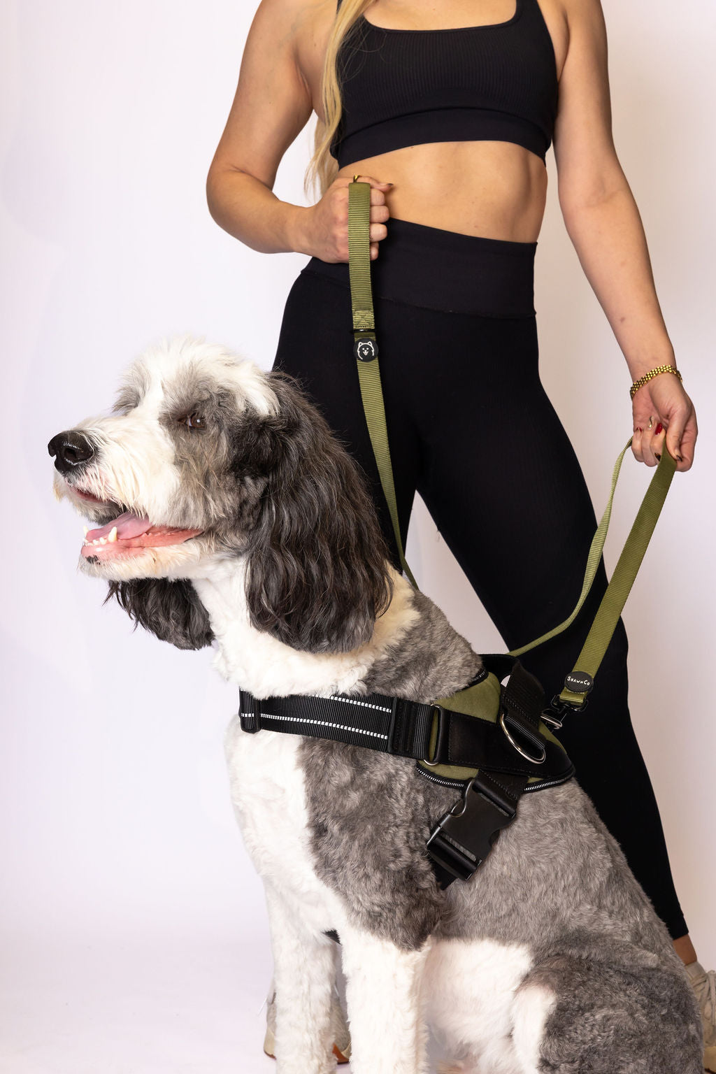 ShawnCo Dream Walk Dog Leash
