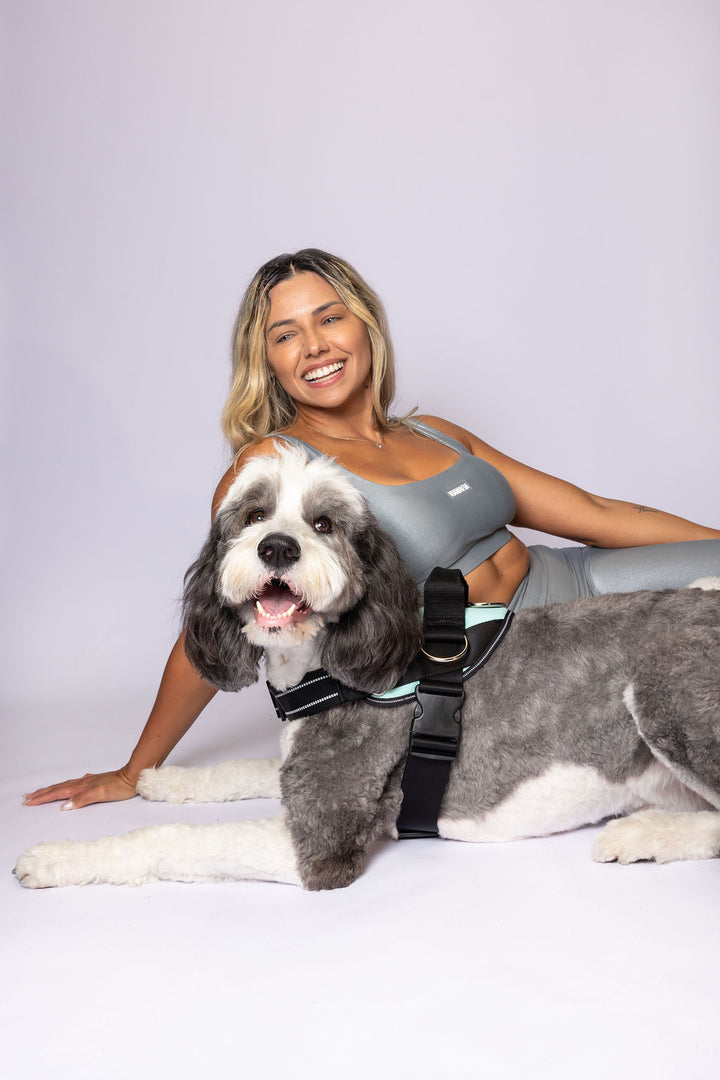 ShawnCo Essential Dog Harness