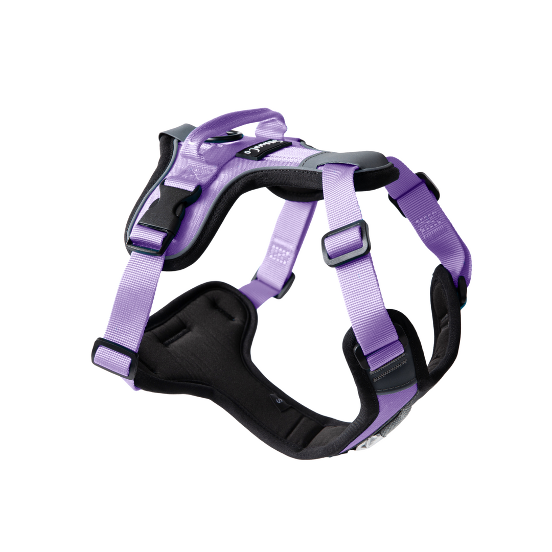 ShawnCo Basecamp Dog Harness