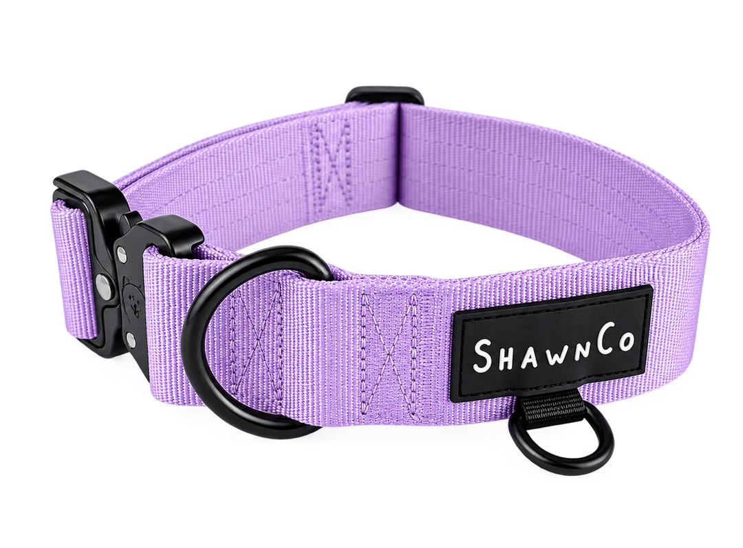 ShawnCo Basecamp Dog Collar