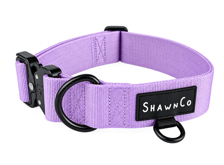 ShawnCo Basecamp Dog Collar