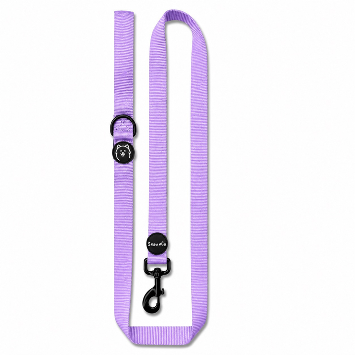 ShawnCo Dream Walk Dog Leash
