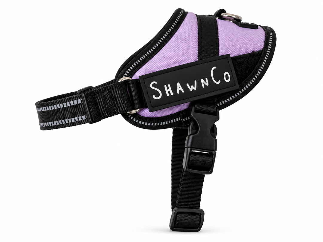 ShawnCo Essential Pro Dog Harness