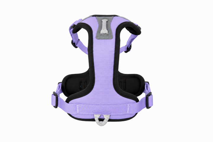 ShawnCo Basecamp Dog Harness